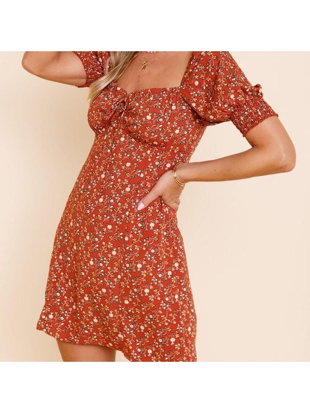 Francesca’s Trixxi ‘Ashten Floral Bustier Mini Swing Dress’ rust Size Medium